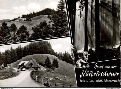 50483866 - Muenstertal , Schwarzwald