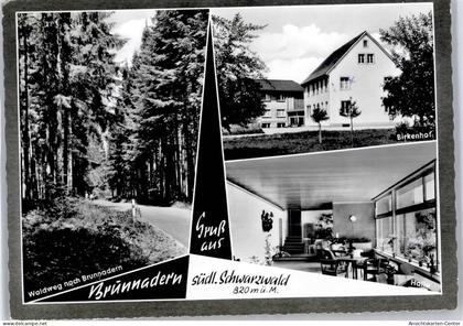 51121629 - Brunnadern