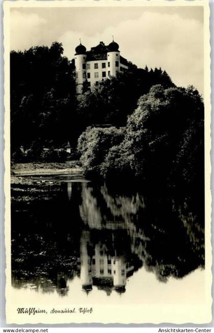 51460716 - Muehlheim an der Donau