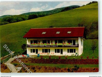 51764326 - Muenstertal , Schwarzwald