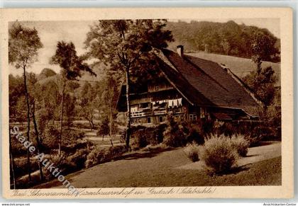 52255287 - Gutach Schwarzwaldbahn