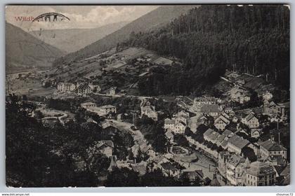 (Bade Wurtemberg) 003, Wildbed, état !