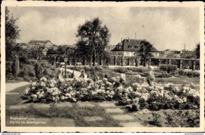 CPA Kornwestheim, Stadtgarten, Rosen, Spaziergänger