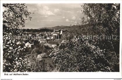 Muellheim Baden