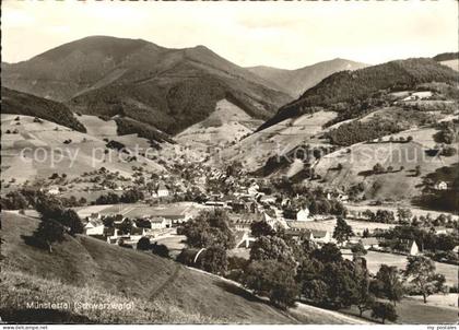 Muenstertal Schwarzwald Panorama