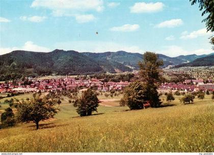 Zell Harmersbach Cafe Alt Zell Panorama