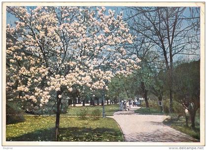 BADEN BADEN       LICHTENTALER ALLEE