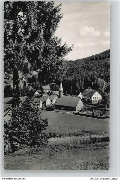 10036893 - Baiersbronn
