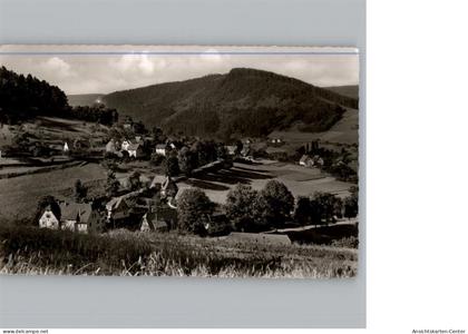 50306857 - Baiersbronn