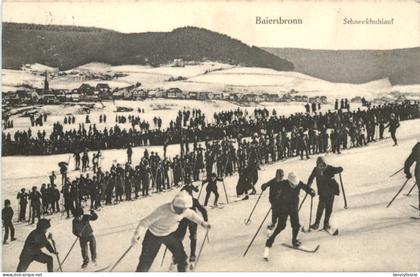 Baiersbronn - Schneeschuhlauf