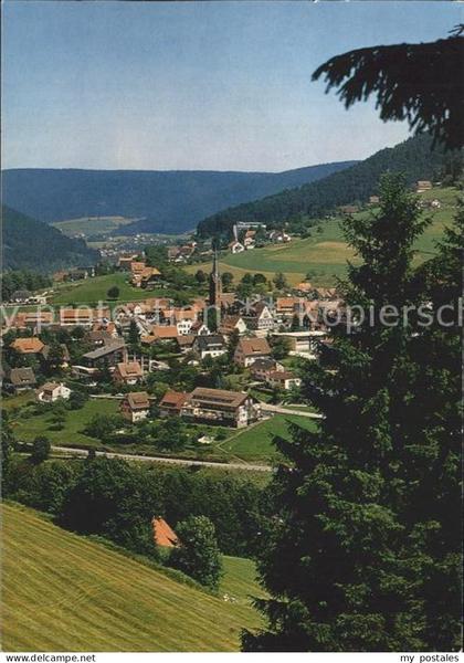 Baiersbronn Schwarzwald