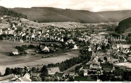 Baiersbronn Schwarzwald Panorama