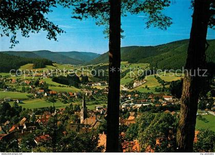Baiersbronn Schwarzwald Panorama
