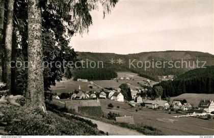 Obertal Baiersbronn Gesamtansicht