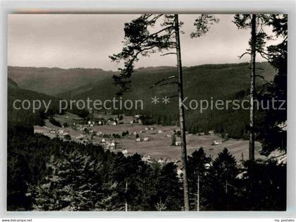 Obertal Baiersbronn Panorama