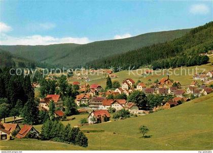 Obertal Baiersbronn Panorama