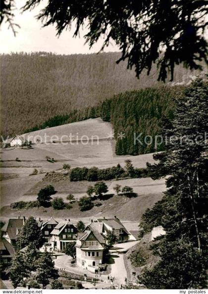 Roet Baiersbronn Panorama