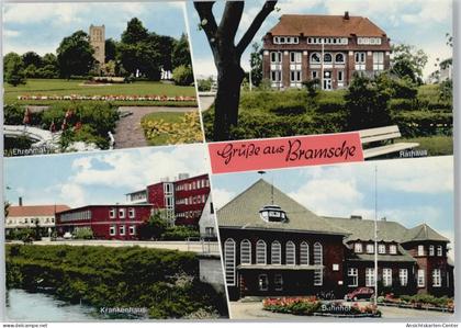 10056410 - Bramsche , Hase