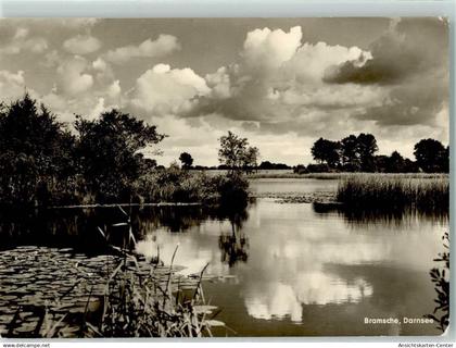 10243957 - Bramsche , Hase