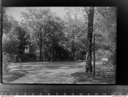 30041098 - Verden (Aller)