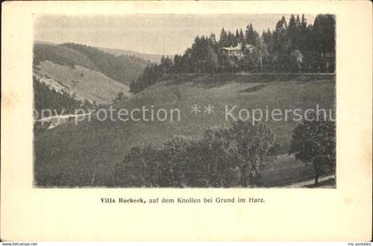 42561267 Grund Harz Bad Villa Hocheck Knollen Bad Grund (Harz)