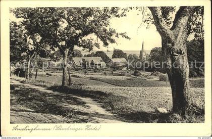 Amelinghausen Lueneburger Heide Panorama Lueneburger Heide