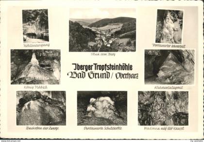 Bad Grund Bad Grund Harz Koenig Huebich Versteinerte Schildkroete Versteinerter