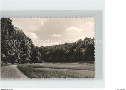 Fuerstenberg Weser Waldpartie