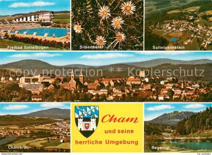 Cham Oberpfalz Freibad Silberdistel Stadtpanorama Regental Sattelpeilnstein Cham