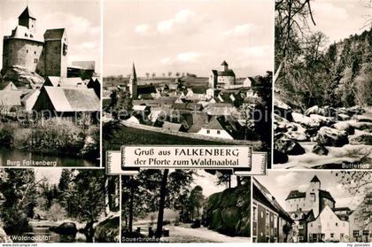 Falkenberg Oberpfalz Burg Falkenberg Panorama Butterfass Waldnaabtal Sauerbrunne