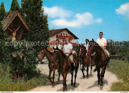 Kronberg Hoeslwang Fremdenheim Gut Kronberg Pferde Ausritt