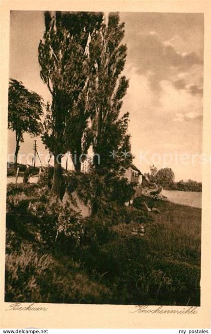 Beckum Westfalen Knochenmuehle