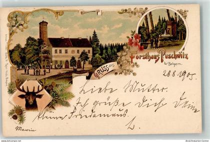 13464616 - Belgern b Torgau