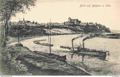 Belgern Elbe Partie an der Elbe Dampfer Blick auf Belgern