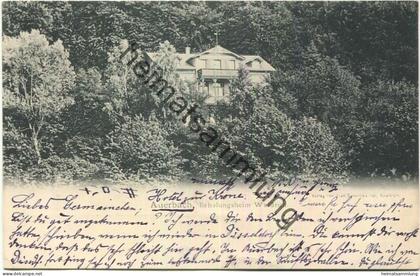 Auerbach - Erholungsheim Waldruh - Verlag J. Schnellbacher Auerbach gel. 1903