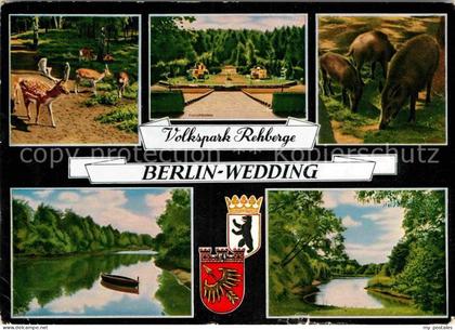 72825793 Wedding Volkspark Rehberge Wild Wedding