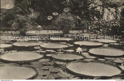 Dahlem Berlin Botanischer Garten