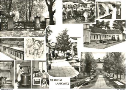 Lankwitz Berlin Tierheim