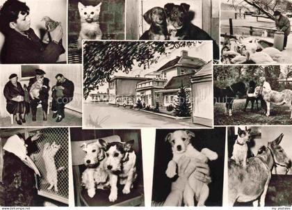 Lankwitz STEGLITZ-ZEHLENDORF BERLIN Tierheim Lankwitz Teilansichten