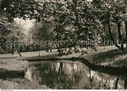 Pankow Die Panke im Buergerpark