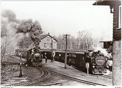Bertsdorf-Hörnitz Dampflokomotiven - Bahnhof Fotokarte Oberlausitz  1982