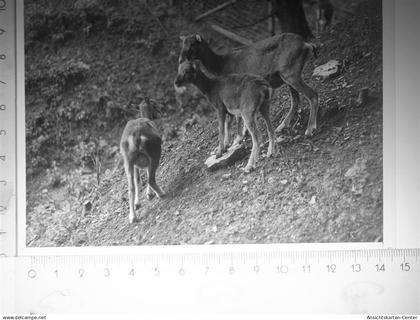 30116483 - Beverungen