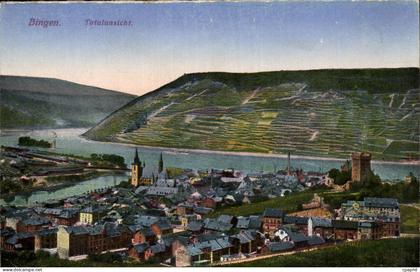 CPA Bingen Totalansicht
