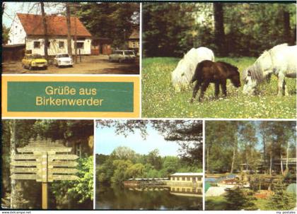 Birkenwerder Gaststaette Briesekrug x 1970