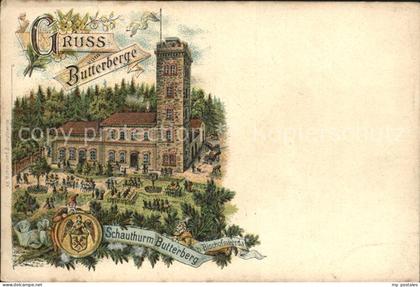 Bischofswerda Schauthurm Butterberg