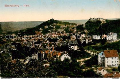 Blankenburg Harz Zahnradbahn Blankenburg Ruebeland Tanne