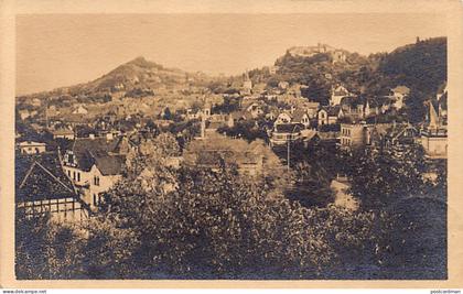 Deutschland - BLANKENBURG - Totalansicht