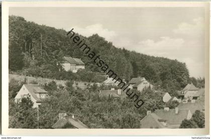 99752 Bleicherode - Waldhaus Japan - Foto-Ansichtskarte - VEB Volkskunstverlag Reichenbach 1958