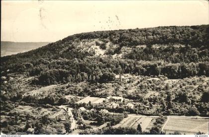 Bleicherode Harz Vogelbergklippen Waldschloesschen
