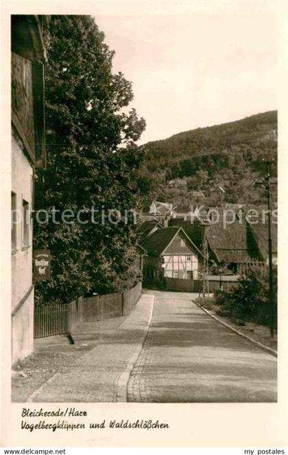 Bleicherode Vogelbergklippen Waldschloesschen